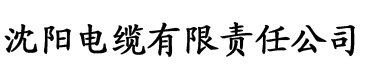 草莓视频污污污色电缆厂logo